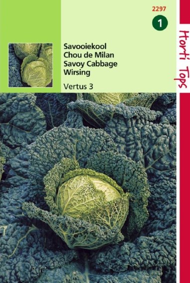Savoy Vertus (Brassica) 500 seeds
